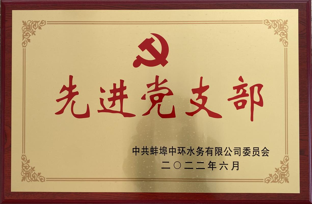 先进党支部