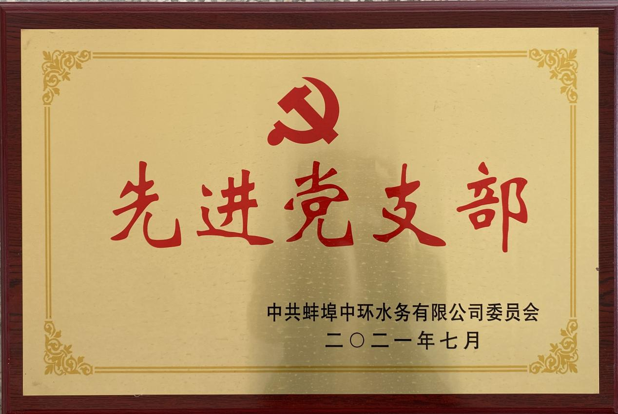 先进党支部